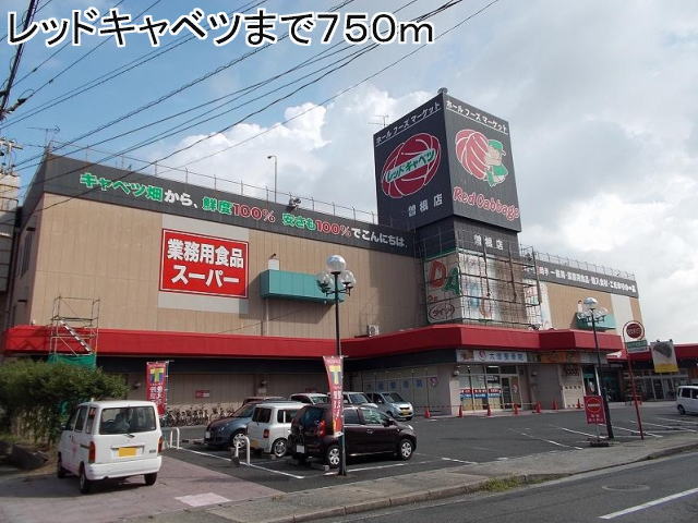 Supermarket. Red 750m until the cabbage (super)