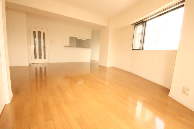 Living and room. Good day in the large living