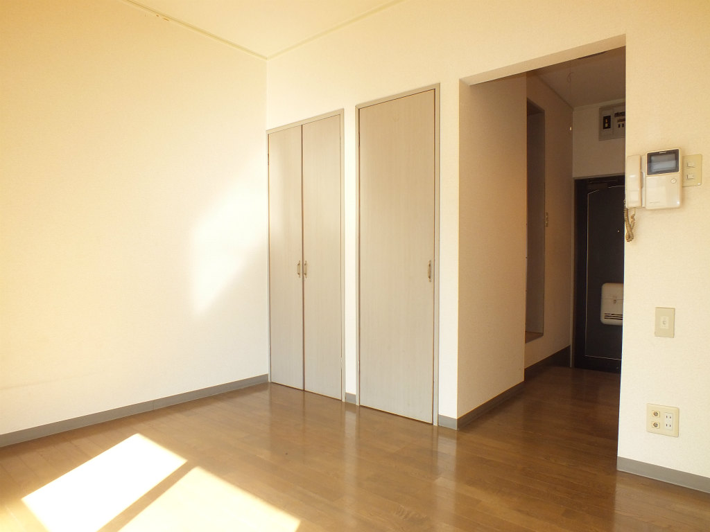 Living and room. Living