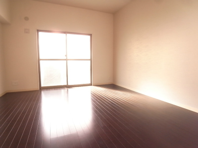 Living and room. Living