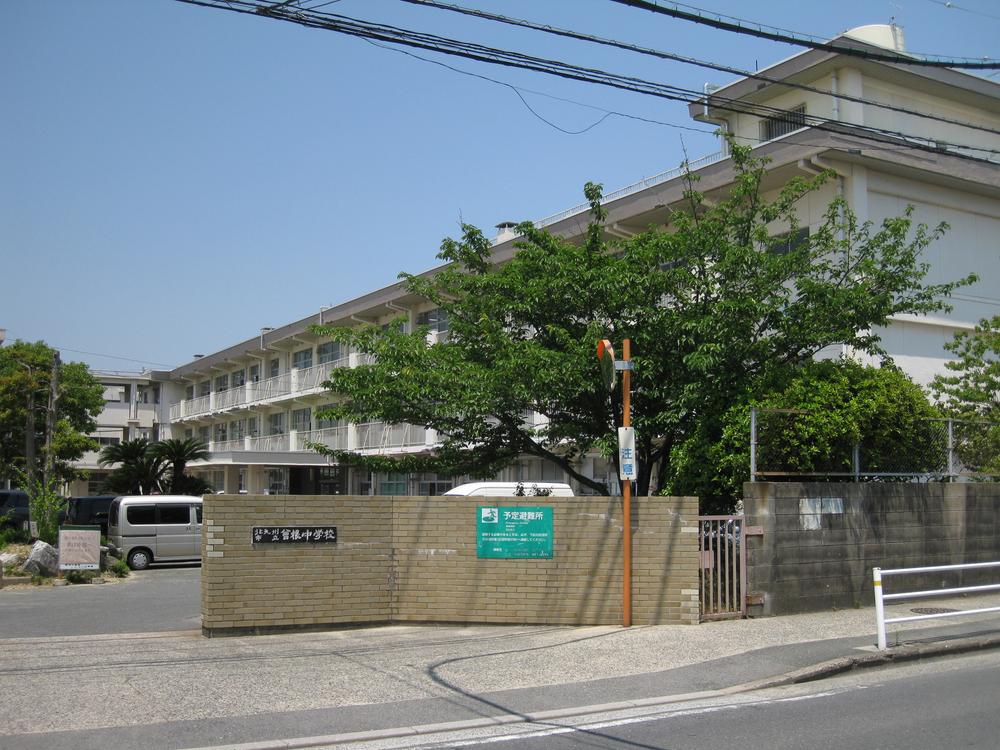 Junior high school. 740m walk to the Sone junior high school about 10 minutes