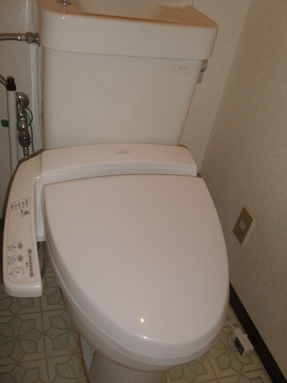 Toilet. It is with warm water washing toilet seat. 