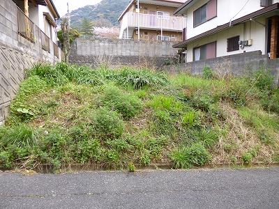 Local land photo. Local (April 2013) Shooting