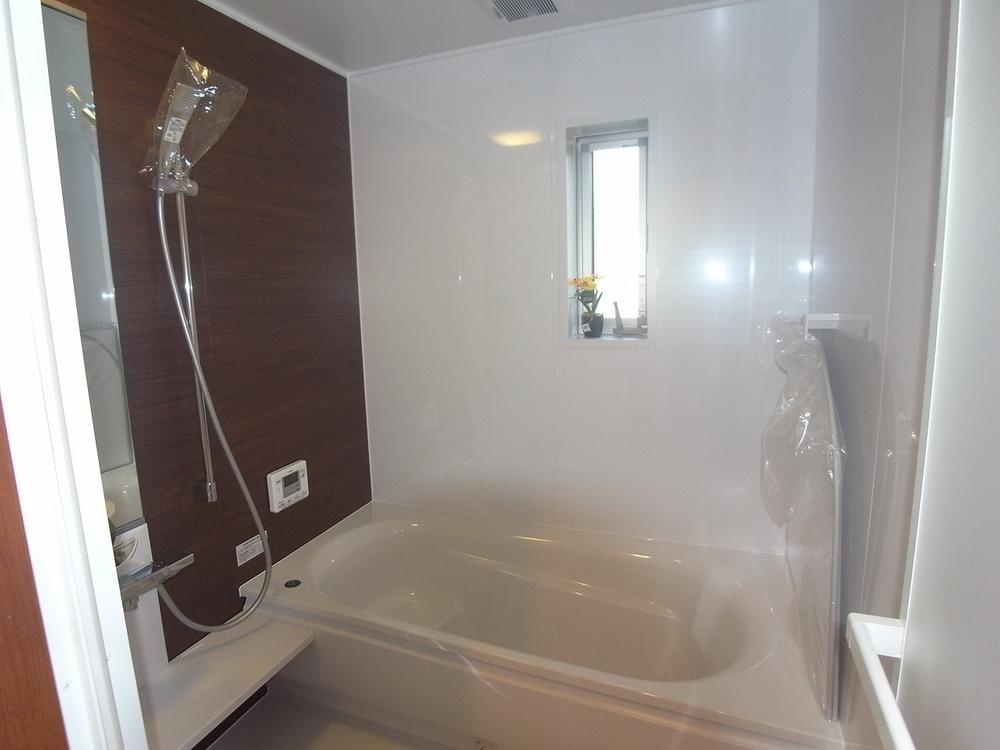 Bathroom. Indoor (10 May 2013) Shooting