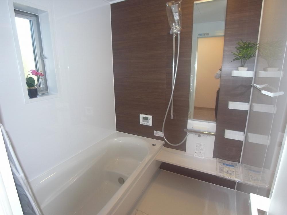 Bathroom. Indoor (10 May 2013) Shooting