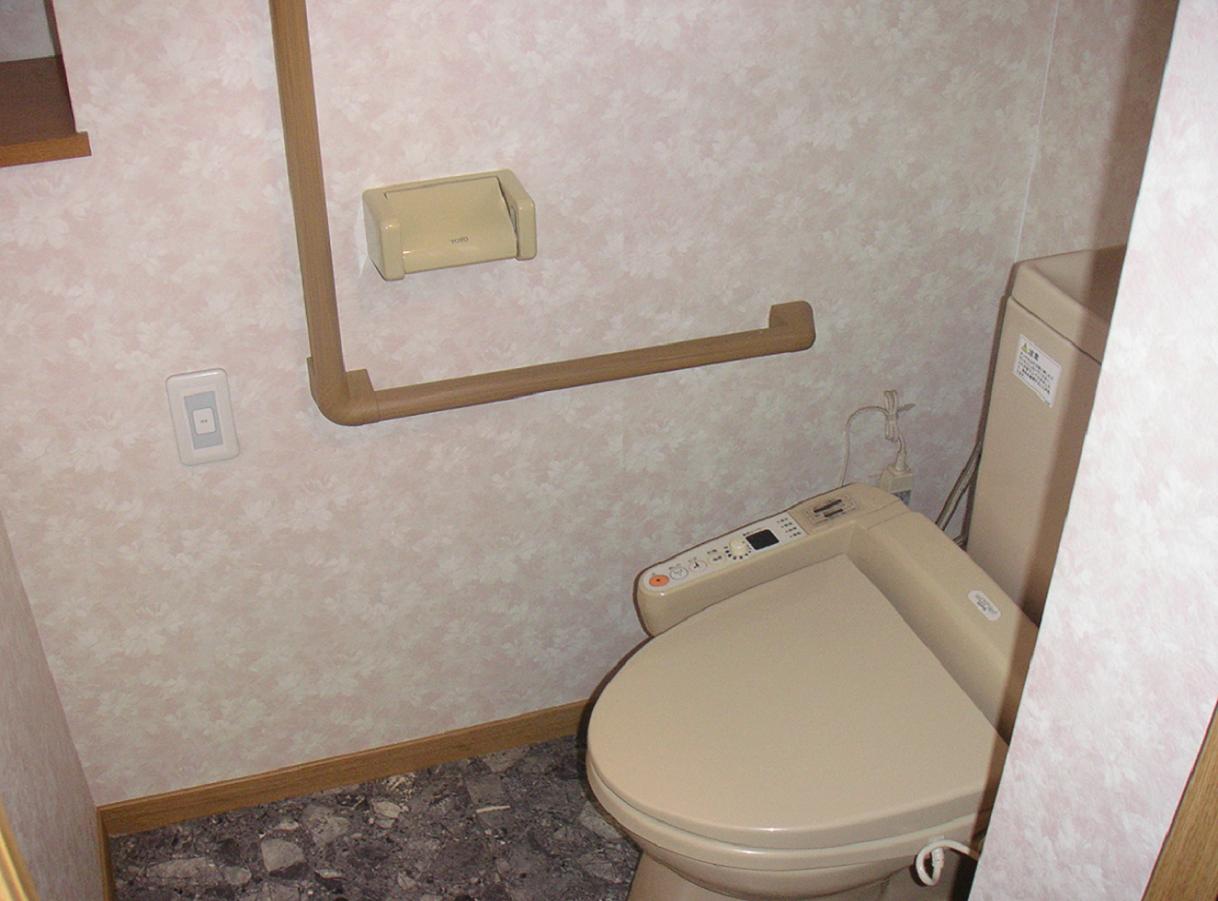 Toilet. Washlet toilet seat
