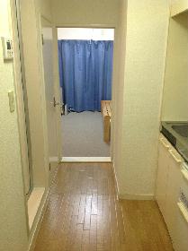 Other. There are times when it differs from the actual room. 