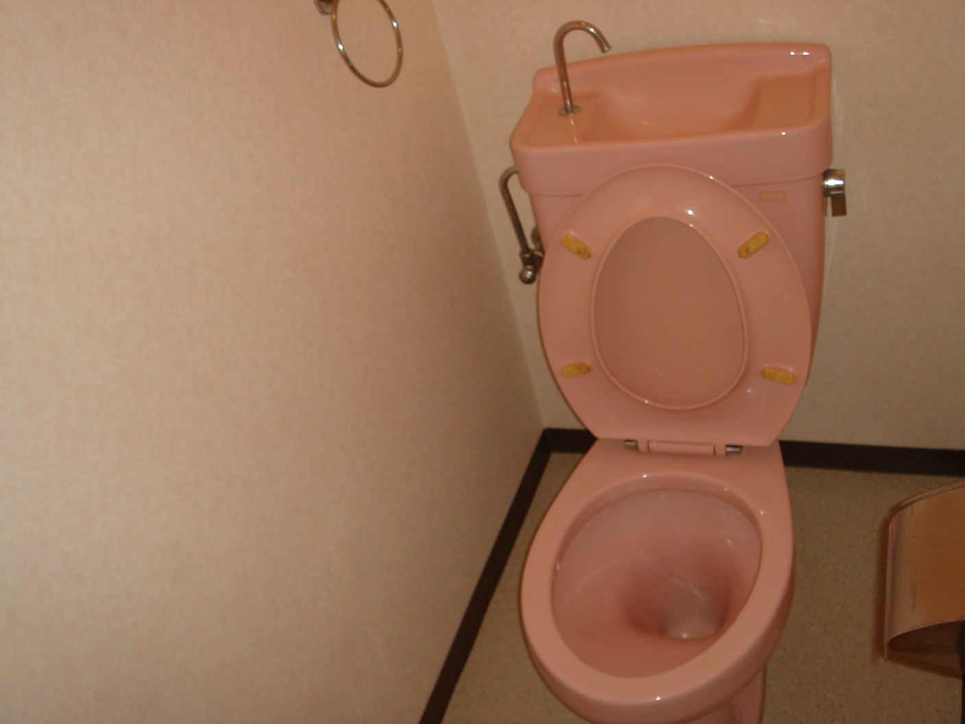 Toilet