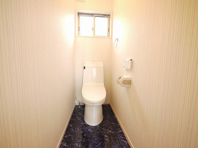 Toilet. Local (September 2013) Shooting