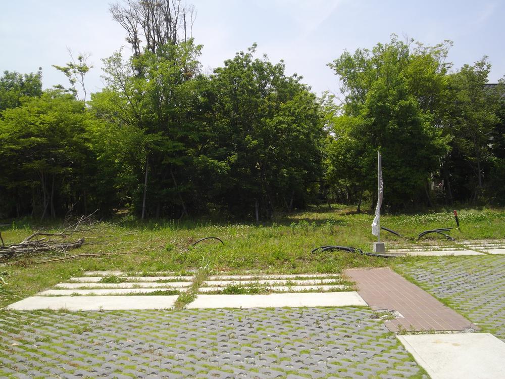 Local land photo. Local (May 2013) Shooting