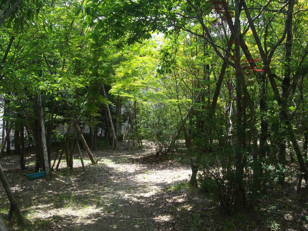 Other local. Local (May 2013) Shooting