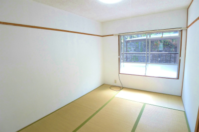 Living and room. Living