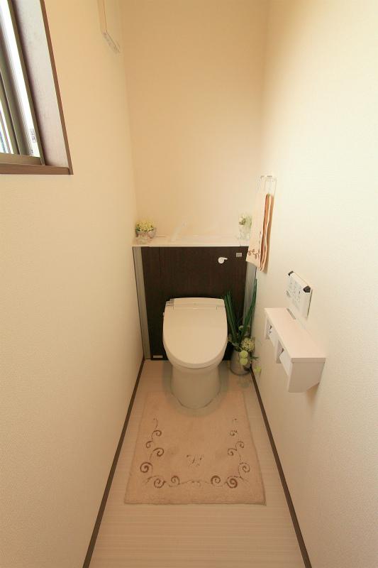 Toilet. Local (November 20, 2013) Shooting