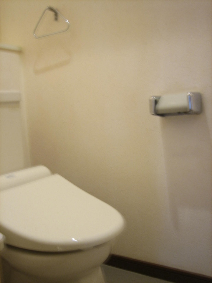 Toilet. Bidet, It is a new article.