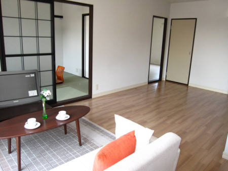 Living and room. Model room in