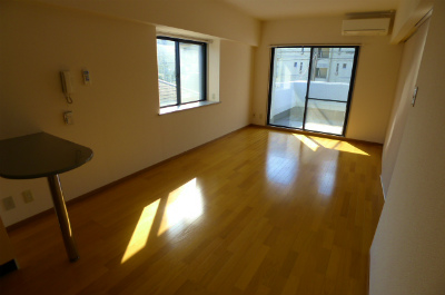 Living and room. Living