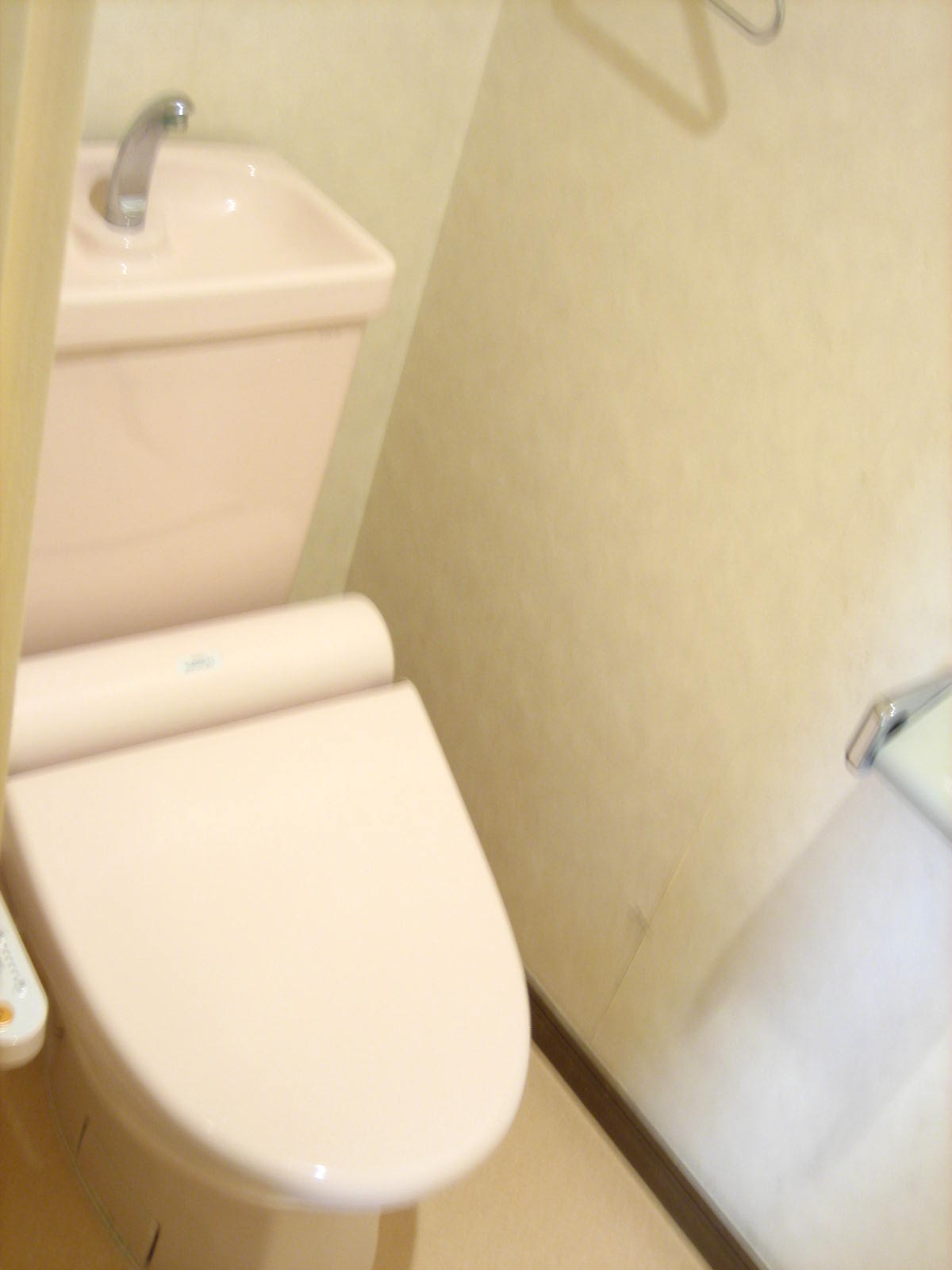 Toilet. Bidet, It is a new article.