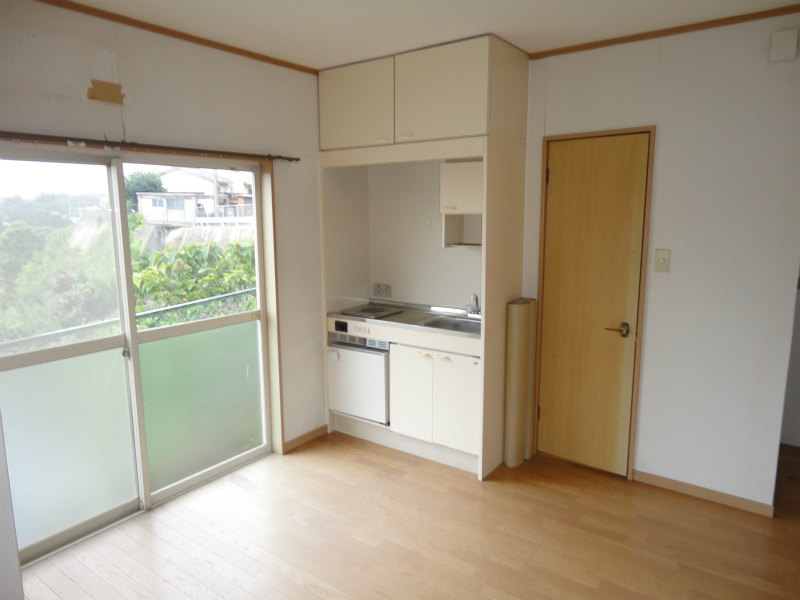 Living and room. Dwelling