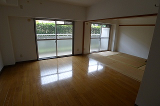 Living and room. Living