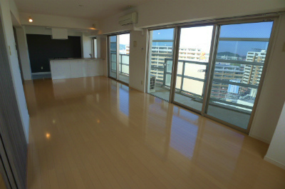 Living and room. Living