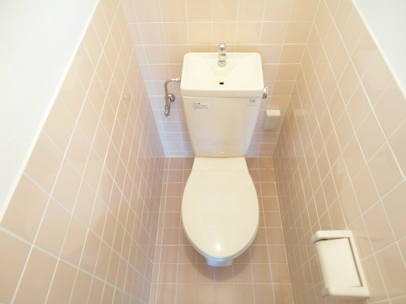 Other room space. Toilet