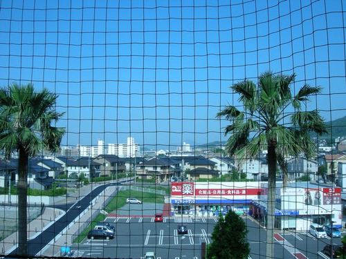 View. View from the balcony