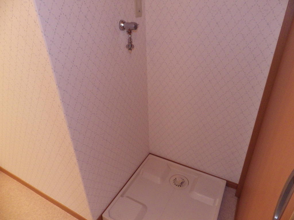 Washroom. Laundry Area