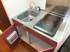 Kitchen. System kitchen two-burner stove