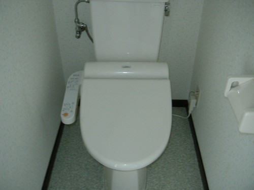 Toilet. Toilet