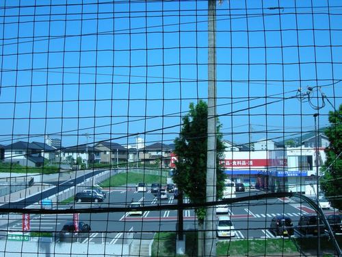 View. View from the balcony