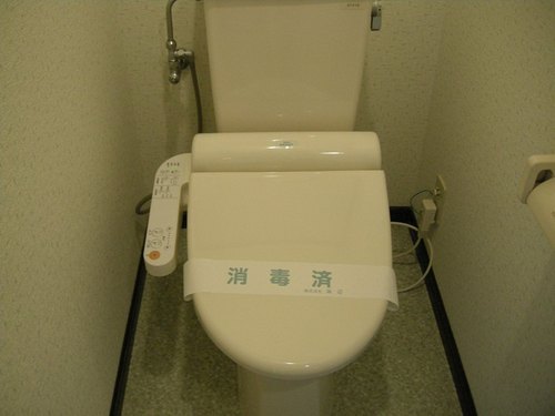 Toilet. Toilet