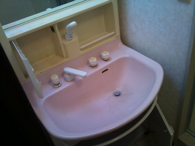 Washroom. Vanity with shower (same specifications)