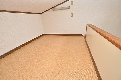 Other. On top of the loft