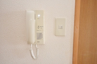 Security. Monitor with intercom