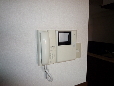 Security. Isomorphic image