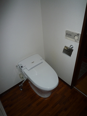 Toilet. Isomorphic image