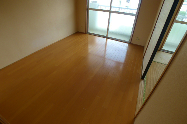 Living and room. Living