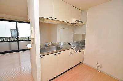 Kitchen. Gas stove can be installed.