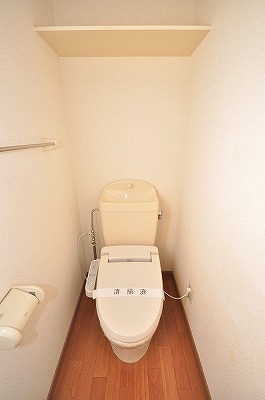 Toilet. Warm water washing toilet seat