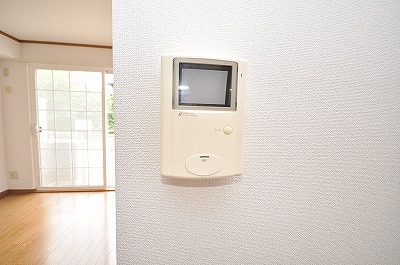 Security. TV monitor phone