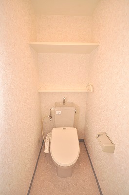 Toilet. Warm water washing toilet seat