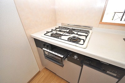 Other Equipment. It comes with a gas stove and grill! !