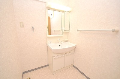 Washroom. The dressing room every indoor washing machine and shampoo dresser