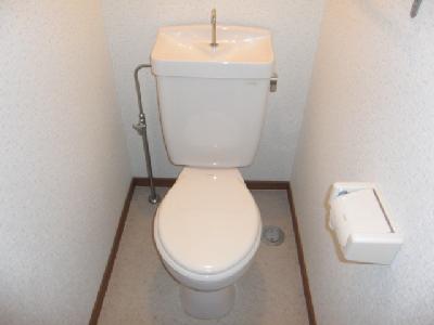 Other. Toilet