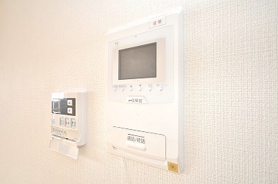 Security. Monitor with intercom