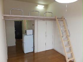 Living and room. With loft