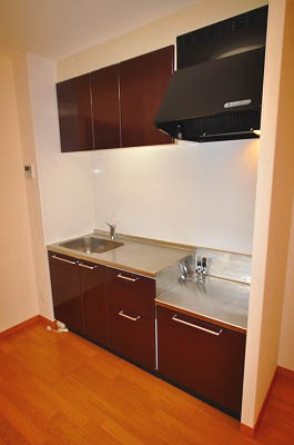 Kitchen. The kitchen is you can use the gas stove