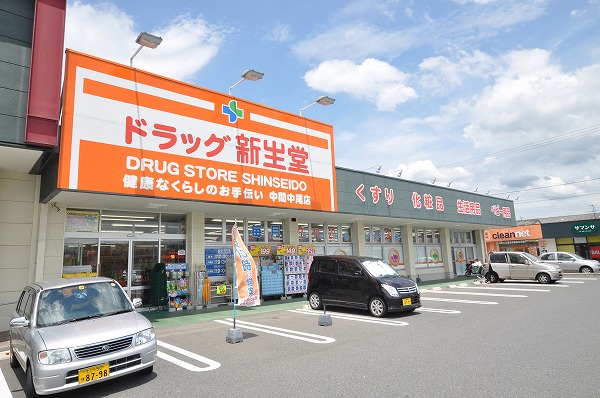 Dorakkusutoa. Drag Shinseido intermediate Nakao shop 900m until (drugstore)
