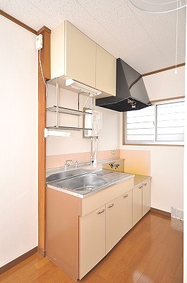 Kitchen. Gas stove can be installed with grill.