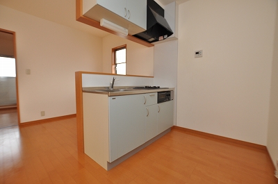Living and room. Kitchen space